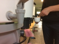 Der regelmäßige Begleiter... TEE