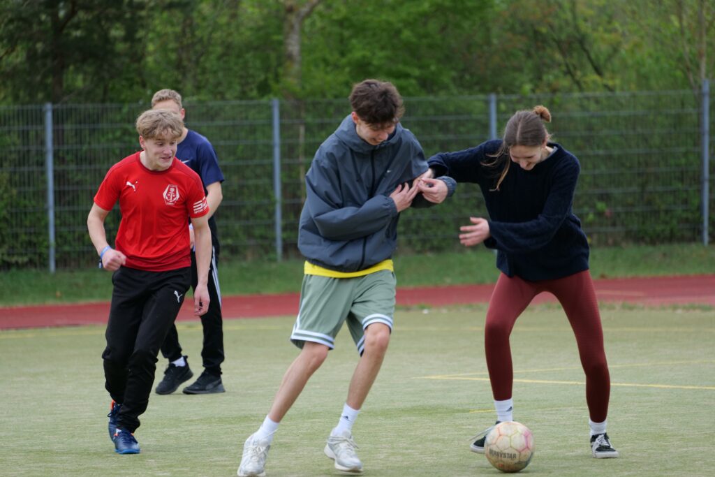 Bild 15